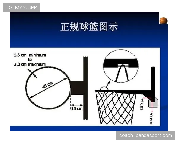 全面解析篮球犯规次数限制规则的执行标准