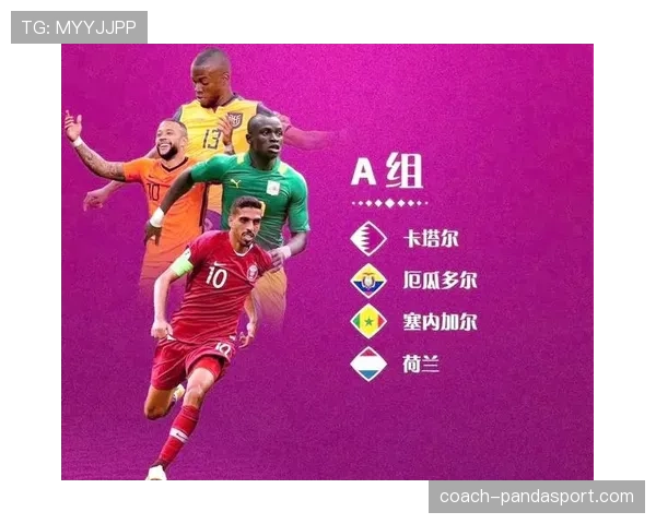 世界杯A组赛场外发生了什么